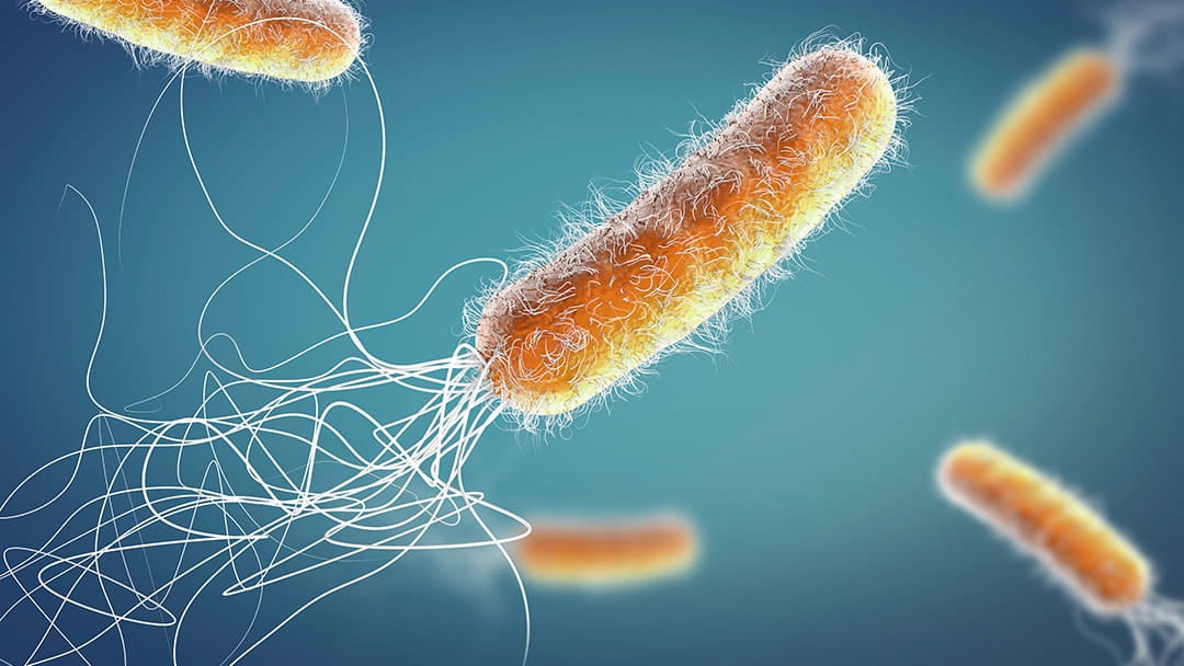 Superbugs Are Surging And So Is Antibiotic Resistance University