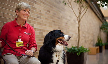 Rainbow best sale therapy dogs