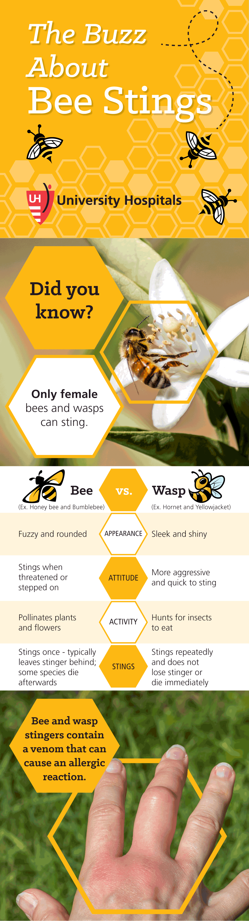 Infographic: The Buzz About Bee Stings