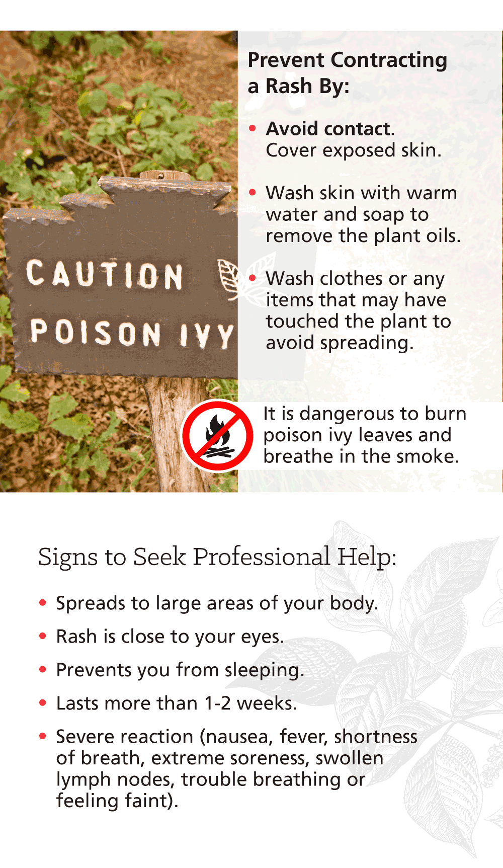 Infographic: Poison Ivy versus Other Skin Irritating Plants