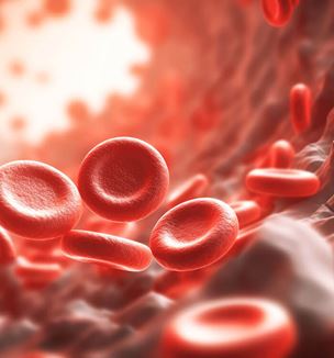 Red blood cells image concept