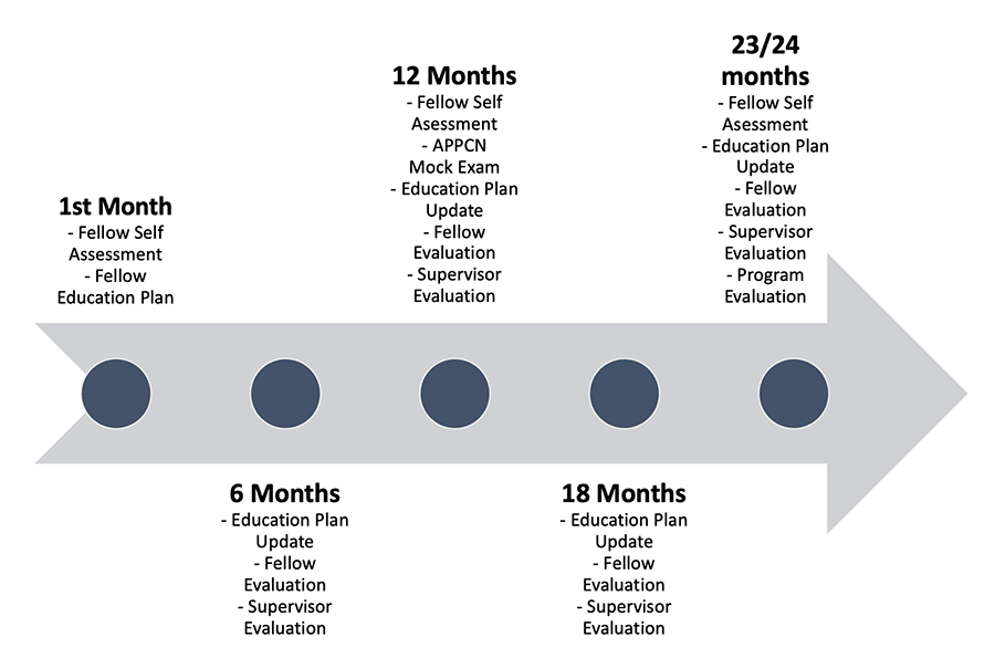 evaluation timeline