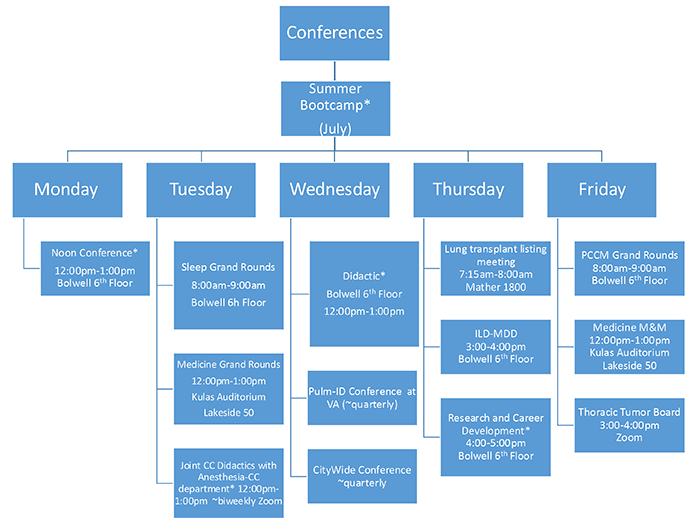 Didactic Schedule