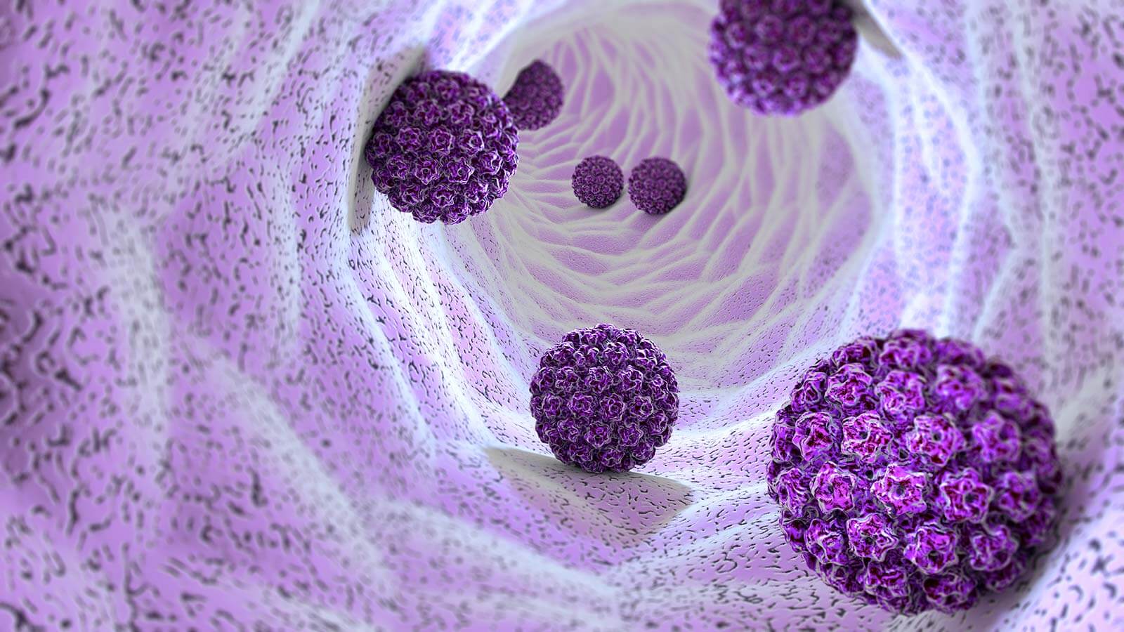 HPV virus illustration